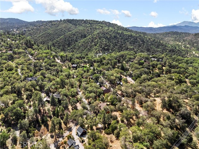 1700 S Way, Lake Arrowhead, CA 92352