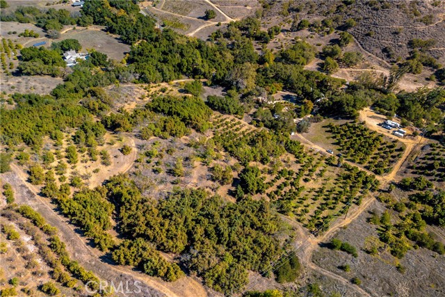 Front Image Thumbnail for CRSW25250872