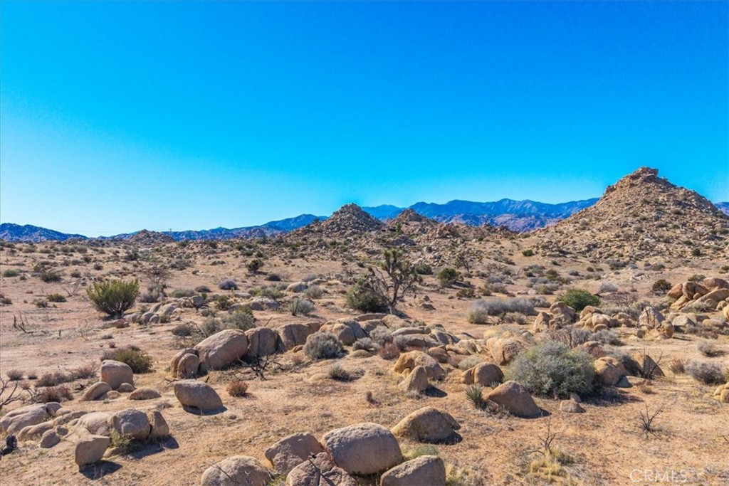 MLS #JT25250010 image #40