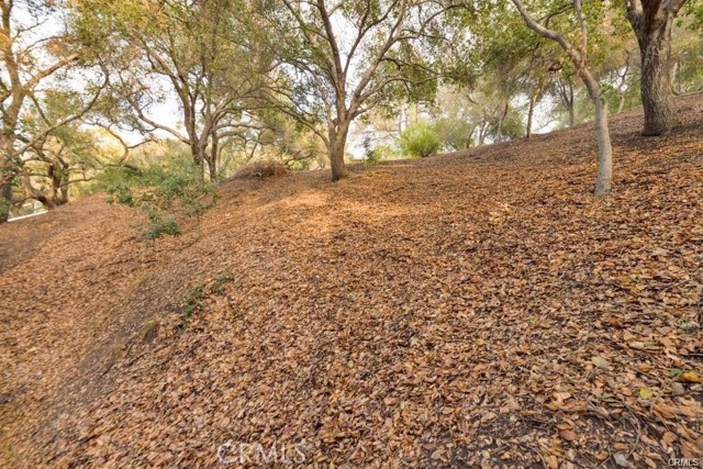 Detail Gallery Image 15 of 30 For 0 Elzevir Rd & Morro Dr Rd, Woodland Hills,  CA 91364 - – Beds | – Baths