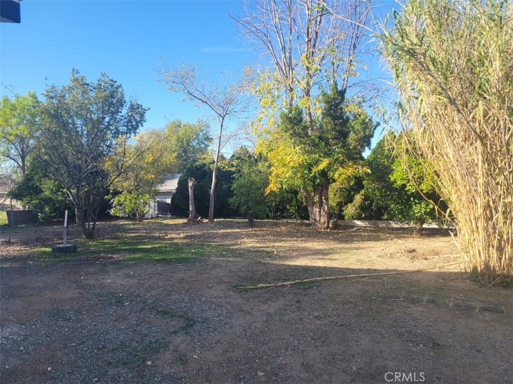 MLS #SW25278663 image #4