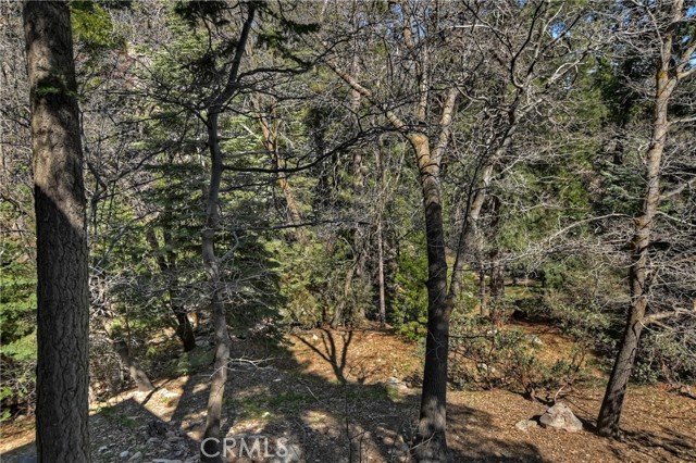 Detail Gallery Image 44 of 47 For 26285 Augusta Dr, Lake Arrowhead,  CA 92352 - 2 Beds | 1/1 Baths