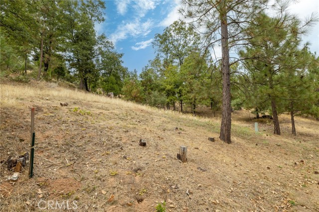 Detail Gallery Image 35 of 55 For 26 Timberview, North Fork,  CA 93643 - – Beds | – Baths