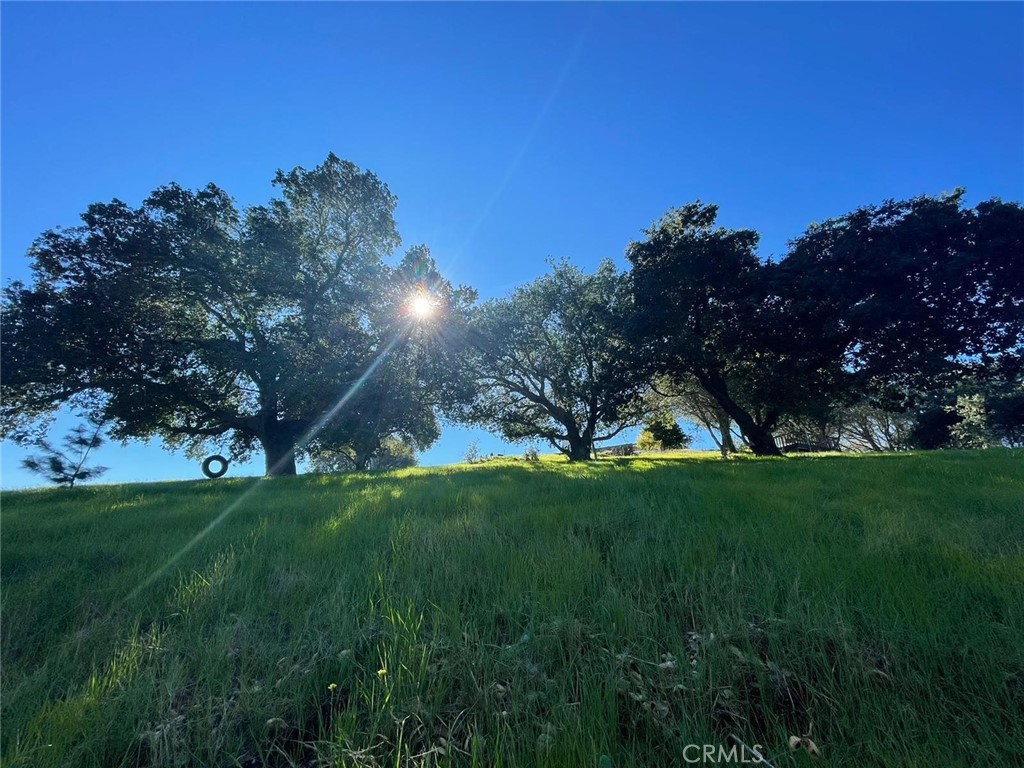 1195 Tiffany Ranch Road