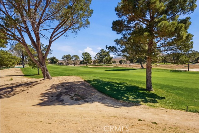 Detail Gallery Image 22 of 36 For 27535 Lakeview, Helendale,  CA 92342 - 2 Beds | 2 Baths