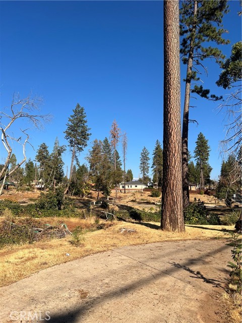 1579 Wagstaff Road, Paradise CA: https://media.crmls.org/medias/556d1f07-bebd-425b-a744-d5a1ca1e9b00.jpg