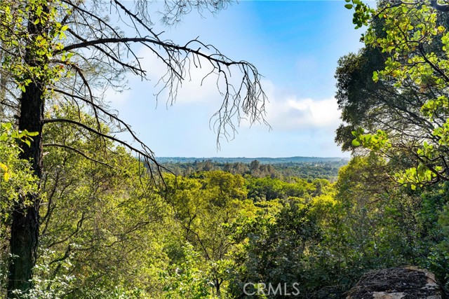 Front Image Thumbnail for CRIV26074371