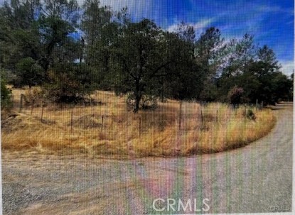 Front Image Thumbnail for CROR25279922