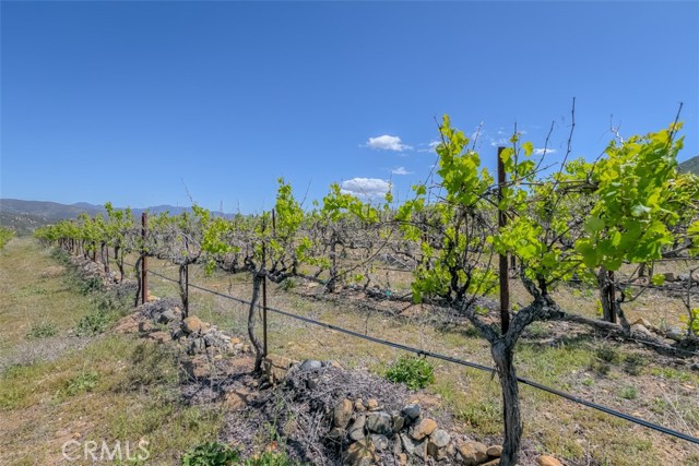 35288 Highway 79, Warner Springs, CA, 92086 35288 Highway 79, Warner Springs, CA, 92086