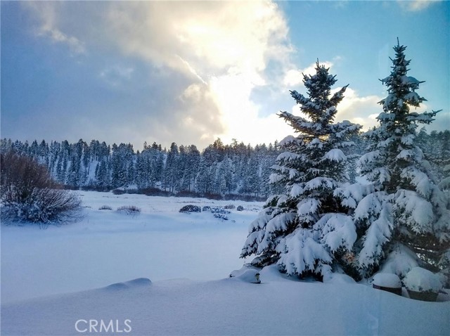 Detail Gallery Image 44 of 44 For 39255 Seminole, Fawnskin,  CA 92333 - 5 Beds | 4/1 Baths