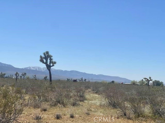 0 -Dos Palmas Rd., Pinon Hills, California 92372, ,Land,For Sale,0 -Dos Palmas Rd.,CREV23199555