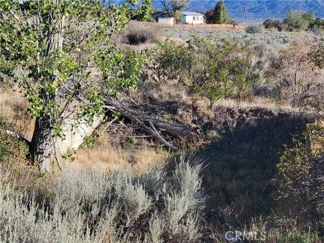 Detail Gallery Image 37 of 46 For 44451 Jay Dr, Anza,  CA 92539 - 3 Beds | 2 Baths