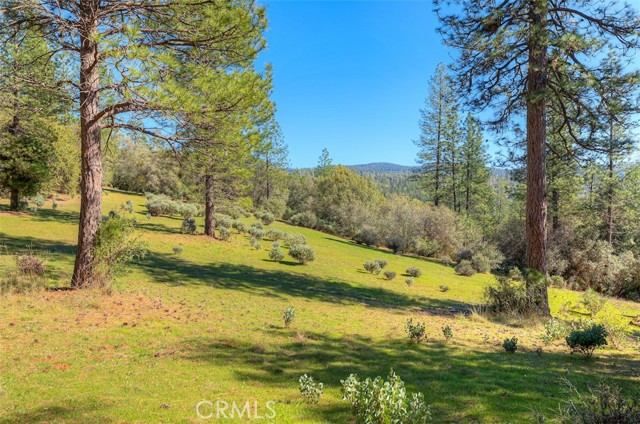 Detail Gallery Image 34 of 52 For 179 Elams Ranch, Oroville,  CA 95966 - 1 Beds | 1 Baths