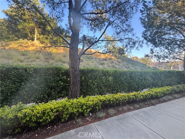 MLS# SR24085460