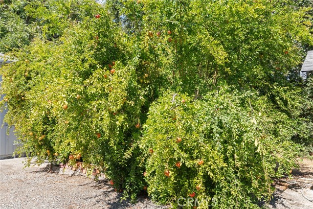 4075 County Road 203, Hamilton City CA: https://media.crmls.org/medias/55825513-eeeb-49d8-8792-694d366c9729.jpg