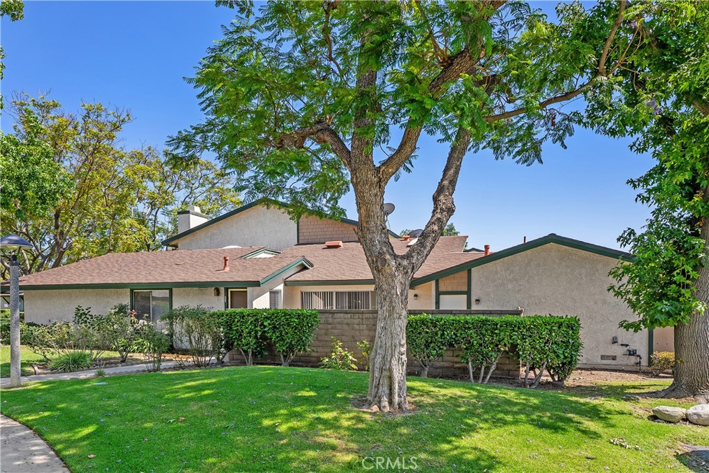 5453 Mead