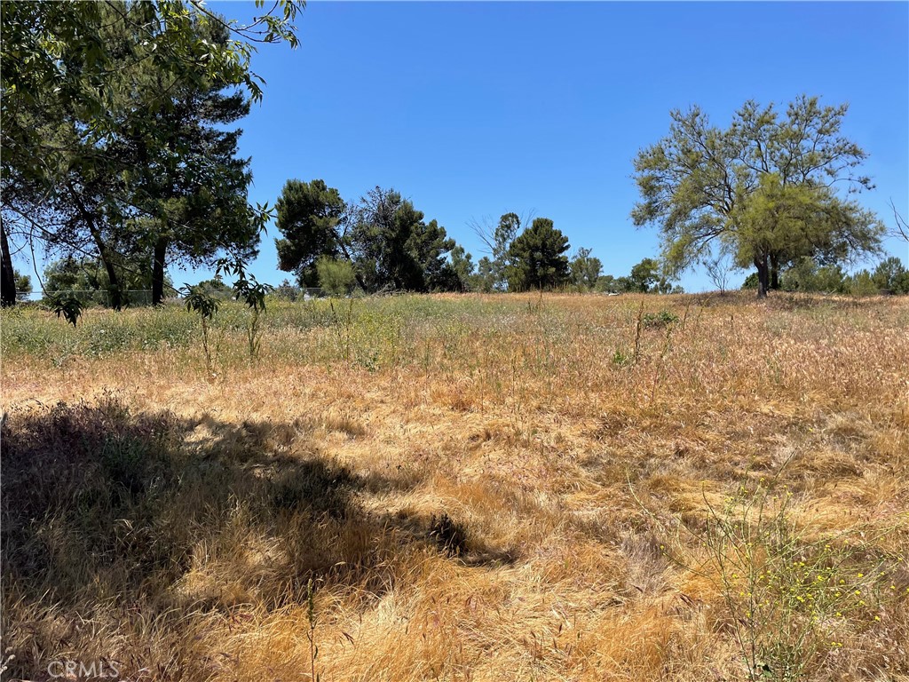Linda Vista Drive - photo 11