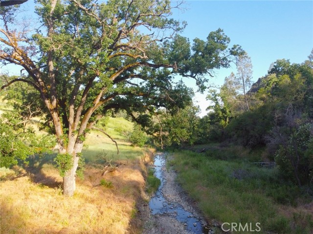 Creek