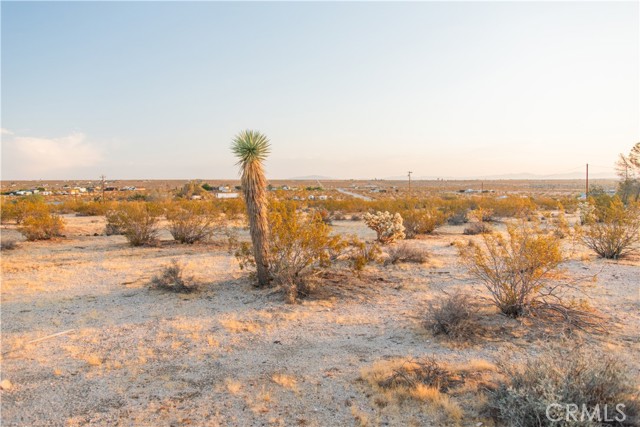 Detail Gallery Image 7 of 12 For 1800 Belmont St, Lot 44, Joshua Tree,  CA 92252 - – Beds | – Baths