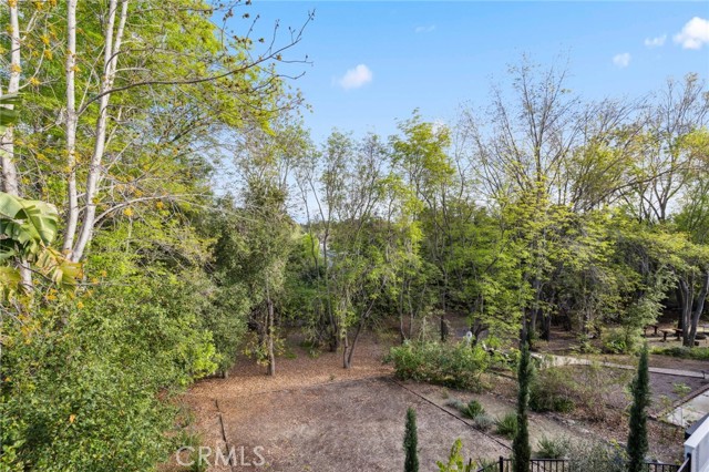 23482 Via Alondra, Coto de Caza CA: https://media.crmls.org/medias/55a31a41-c36f-43c5-b4cb-5b2d6a8db0d8.jpg