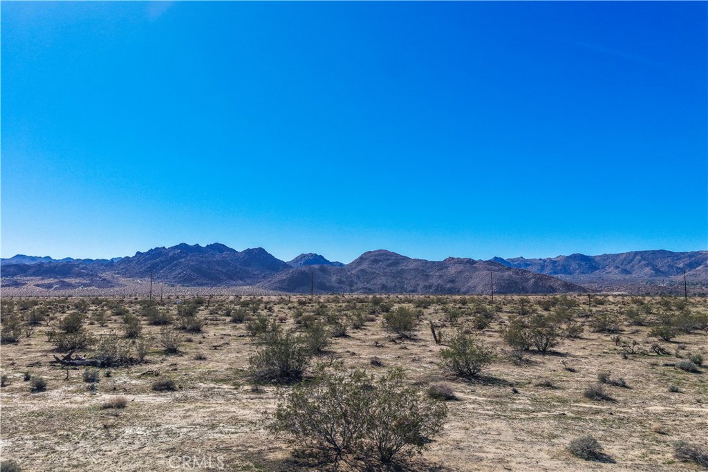 MLS #JT25246822 image #9