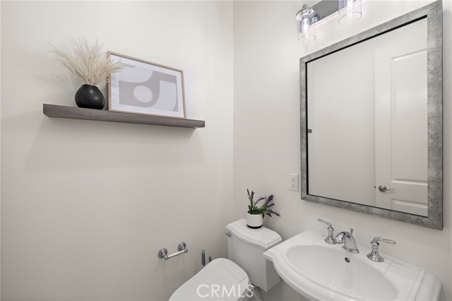 Image 20 of 59 For 12 Belladonna