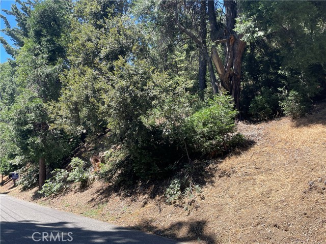 Detail Gallery Image 1 of 1 For 16 Lot 16 Sawpit Canyon Rd, Cedarpines Park,  CA 92322 - – Beds | – Baths