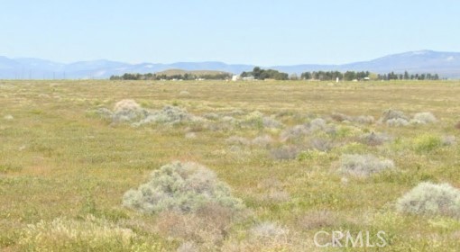 Front Image Thumbnail for CRSR25277005