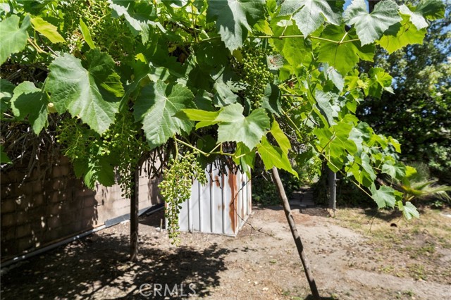 Detail Gallery Image 36 of 47 For 1424 E Vine Ave, West Covina,  CA 91791 - 4 Beds | 2/1 Baths