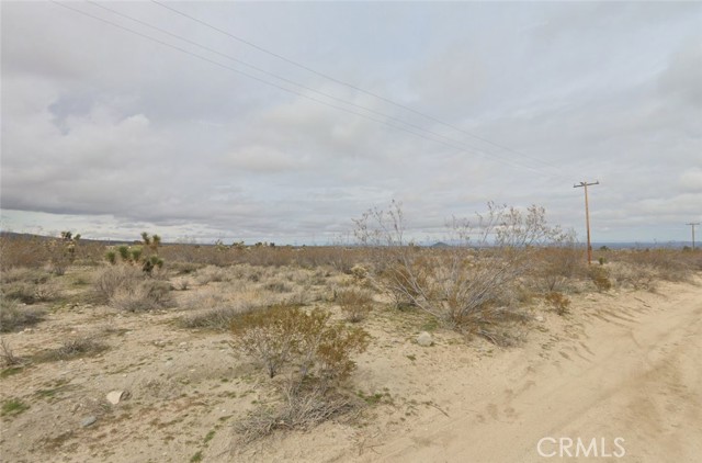 Detail Gallery Image 4 of 4 For 11420 Wintergreen Rd, Pinon Hills,  CA 92372 - – Beds | – Baths