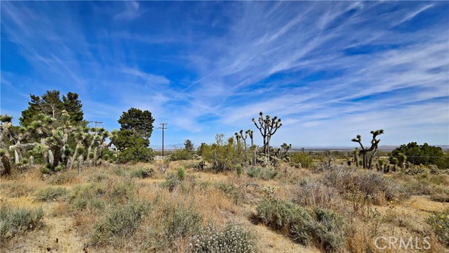 Detail Gallery Image 36 of 49 For 0 103rd St East Vicinity W14, –,  CA 93543 - – Beds | – Baths