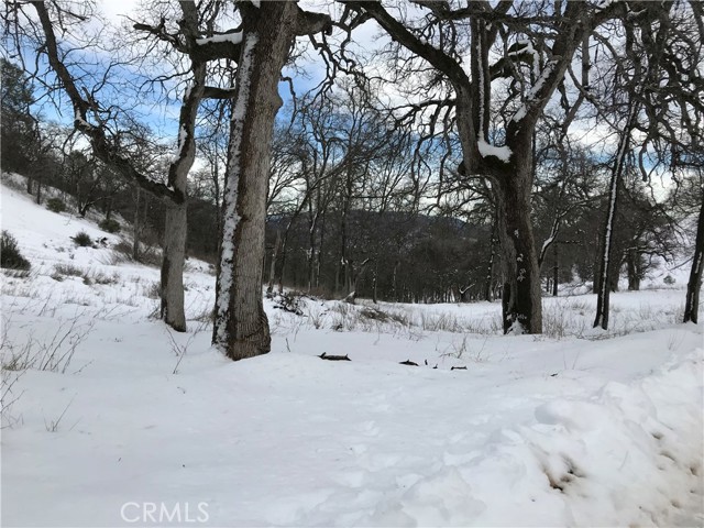 Detail Gallery Image 27 of 31 For 38088 Serpa Canyon Rd, Coarsegold,  CA 93614 - 3 Beds | 2 Baths