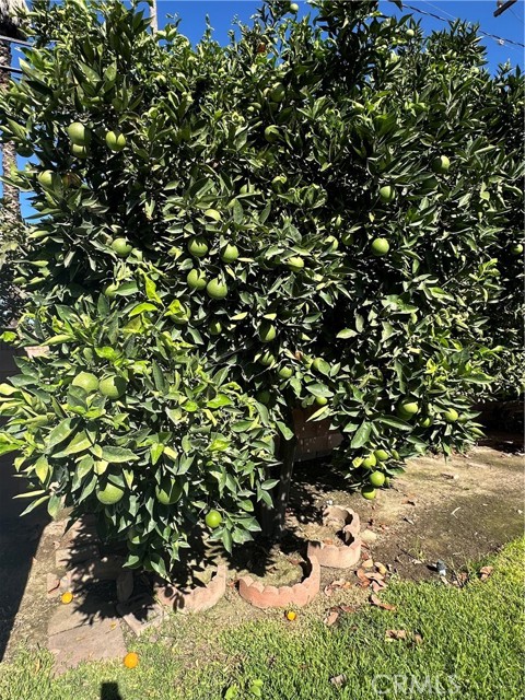 MLS #DW25237635 image #14