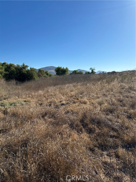 0 Mazoe Street, Temecula CA: https://media.crmls.org/medias/55d198fe-c619-430e-9ede-bd2794b5e715.jpg