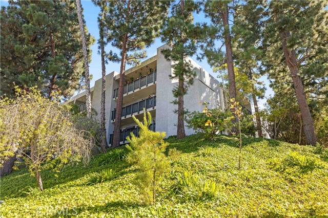3605 W Hidden Ln, 303 photo 6