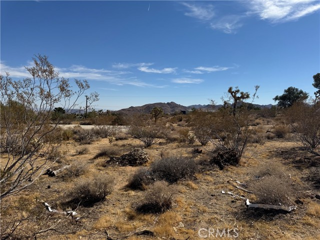 7217 Sunny Vista Road, Joshua Tree, California 92252, ,Land,For Sale,7217 Sunny Vista Road,CRJT24214179