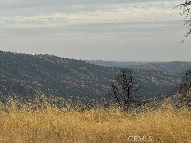 Detail Gallery Image 13 of 34 For 38914 Road 810, Raymond,  CA 93653 - – Beds | – Baths