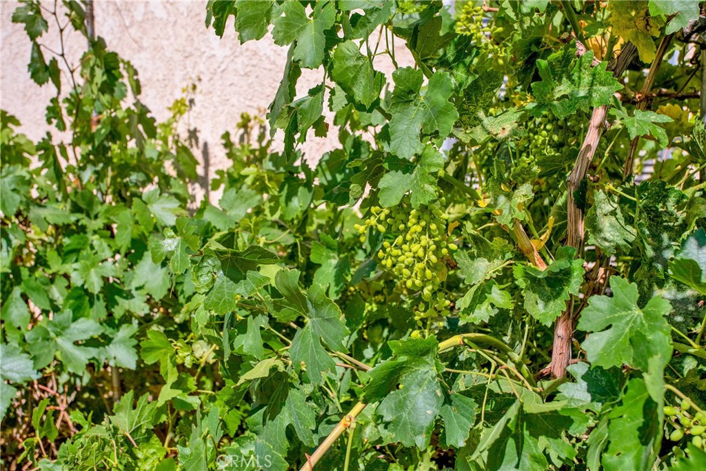 https://media.crmls.org/medias/55d783dd-4cef-402f-8366-12c1e4805a86.jpg?preset=X-Large