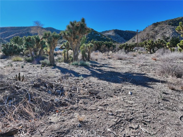 Detail Gallery Image 10 of 15 For 7325 Desert Front Rd, Pinon Hills,  CA 92397 - – Beds | – Baths