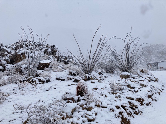 MLS #JT24225370 image #65