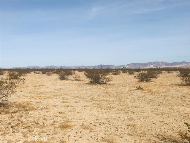 Detail Gallery Image 6 of 8 For 0 Fascination Ave, Joshua Tree,  CA 92252 - – Beds | – Baths