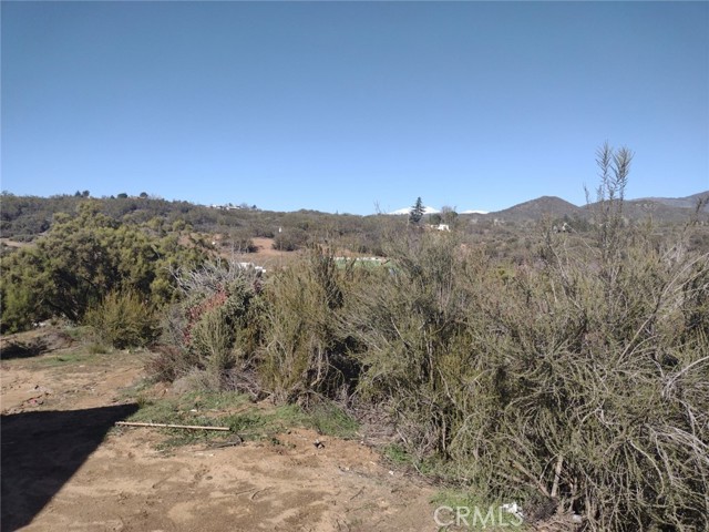 37400 Tripp Flat Road, Anza, California 92539, ,Land,For Sale,37400 Tripp Flat Road,CRSW23021079