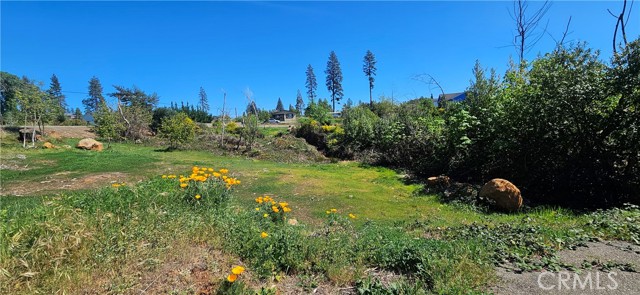 Detail Gallery Image 14 of 16 For 1190 Glen, Paradise,  CA 95969 - – Beds | – Baths