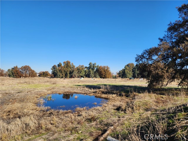 Detail Gallery Image 27 of 42 For 1882 Capay Rd, Corning,  CA 96021 - – Beds | – Baths