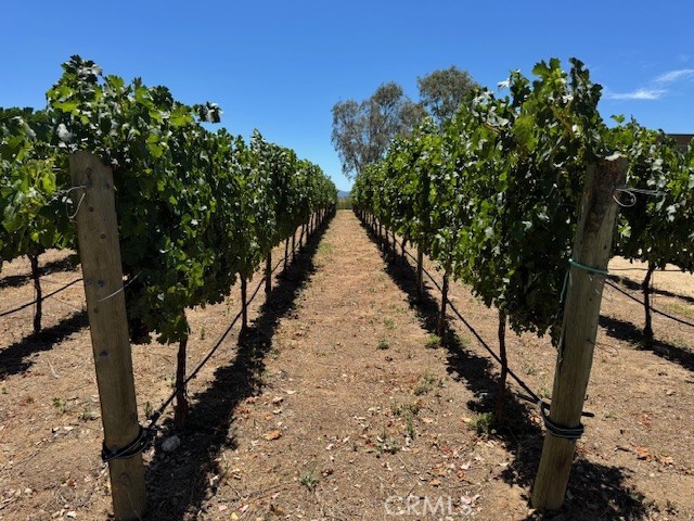 39547 Calle Cabernet, Temecula CA: https://media.crmls.org/medias/55fba8c2-8d05-4f92-9360-0ea878306cb4.jpg