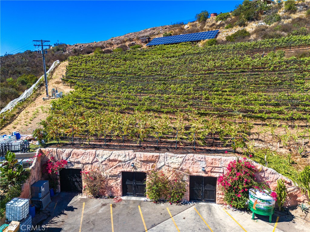 MLS #OC25023879 image #41