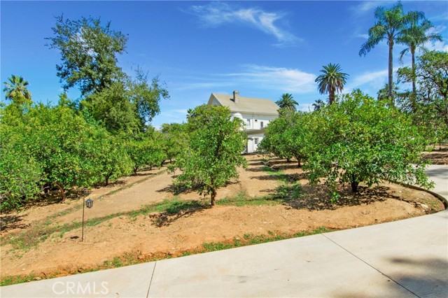 Detail Gallery Image 48 of 75 For 560 Terracina Bld, Redlands,  CA 92373 - 4 Beds | 4/1 Baths