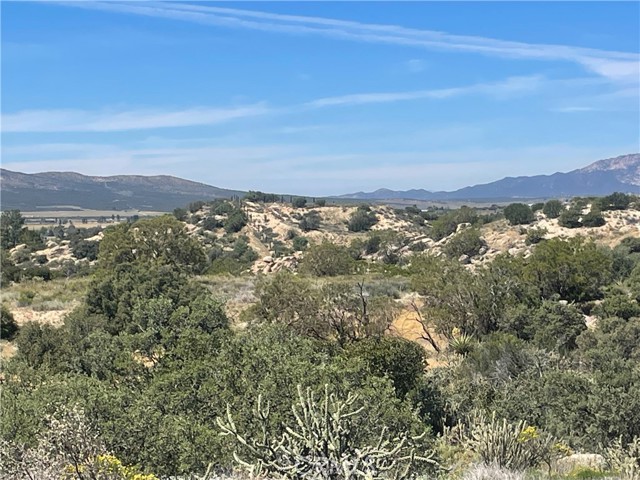 33 Sweetbush, Anza CA: https://media.crmls.org/medias/5604d97a-9dde-4d08-9277-86448c57f5df.jpg