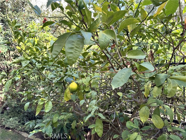 Detail Gallery Image 45 of 54 For 2 Honeydew, Irvine,  CA 92603 - 3 Beds | 2/1 Baths