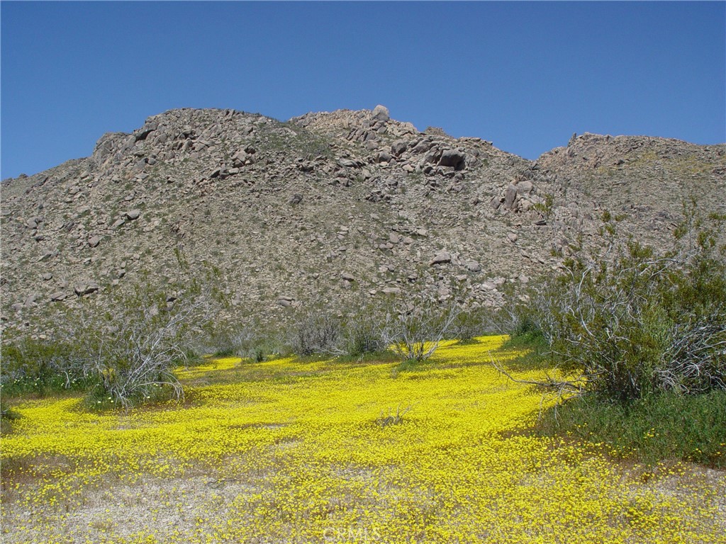 MLS #HD26154562 image #9